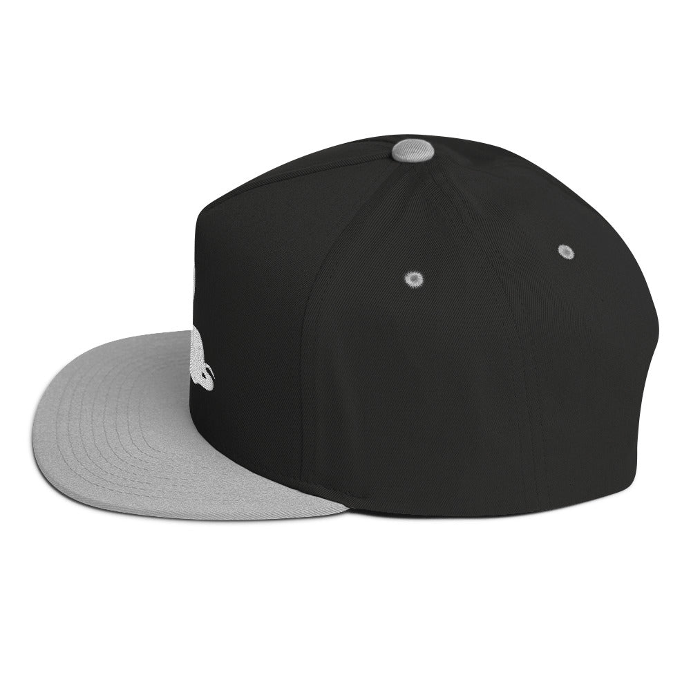 Snekcessories Flat Brim Hat