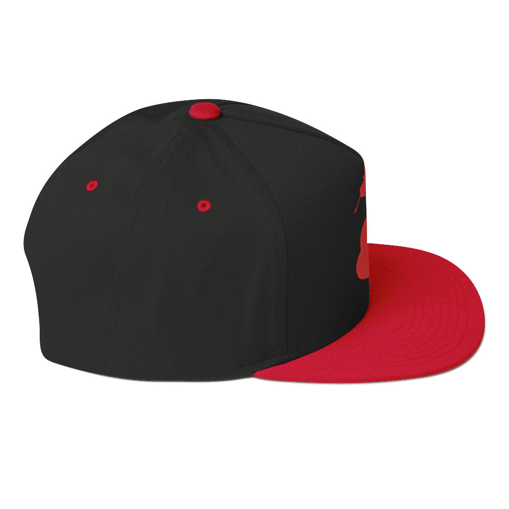 Snekcessories Red Logo Flat Brim Hat